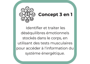Concept 3 en 1 kinésiologie